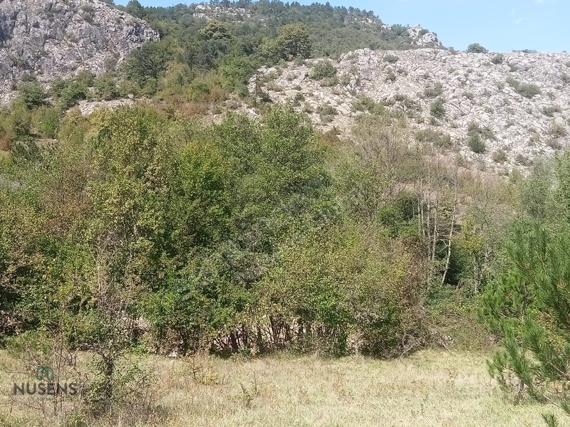 Kastamonu Horma Kanyonunda Otoparka Sıfır Kupon Arsa — fotoğraf 2