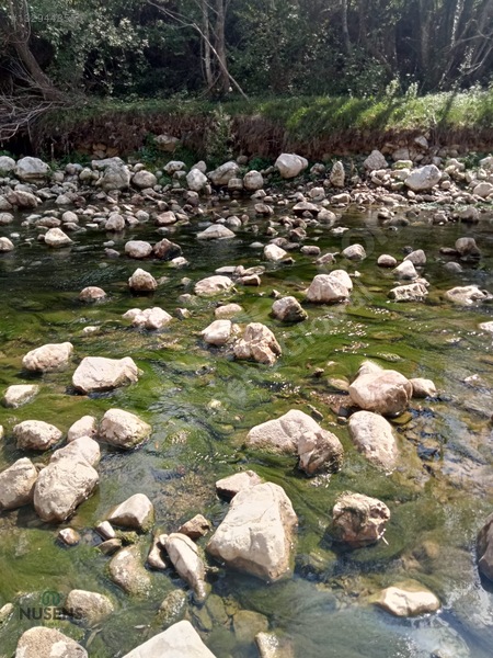 Kastamonu Horma Kanyonunda Otoparka Sıfır Kupon Arsa — fotoğraf 4