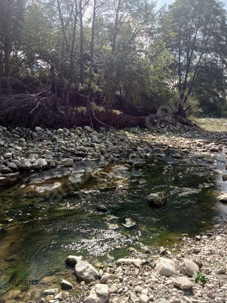 Kastamonu Horma Kanyonunda Otoparka Sıfır Kupon Arsa — fotoğraf 5