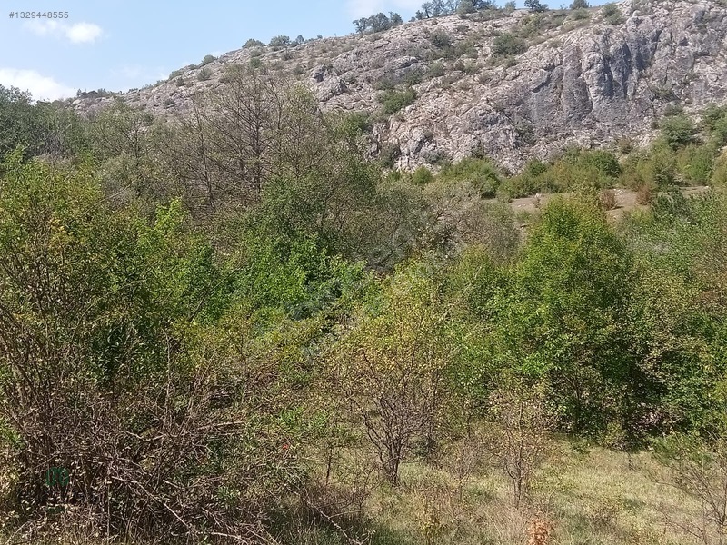 Kastamonu Horma Kanyonunda Otoparka Sıfır Kupon Arsa — fotoğraf 14