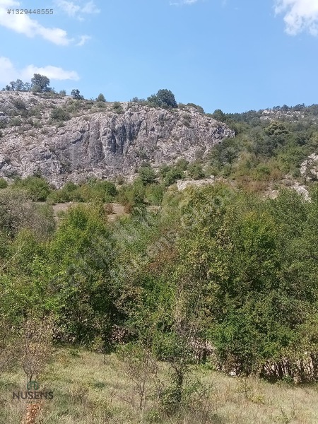 Kastamonu Horma Kanyonunda Otoparka Sıfır Kupon Arsa — fotoğraf 15