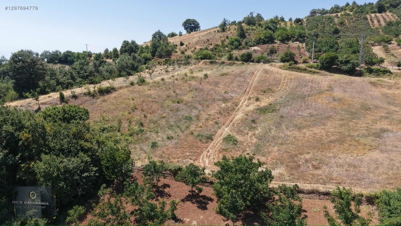 Yıldırım Köyünde 1458 M2 Bahçeler — fotoğraf 4