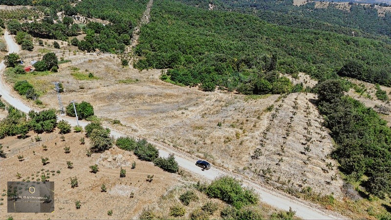 Yıldırım Köyünde 1458 M2 Bahçeler — fotoğraf 5
