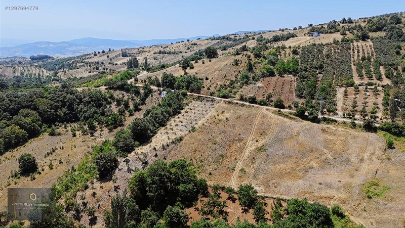 Yıldırım Köyünde 1458 M2 Bahçeler — fotoğraf 10