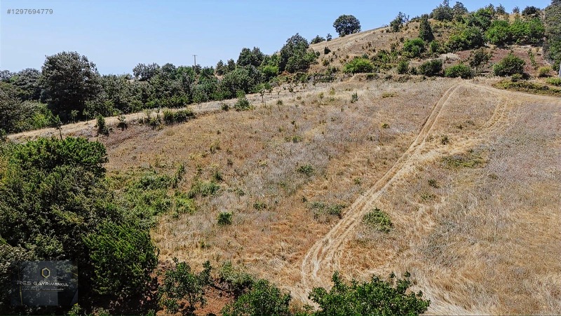 Yıldırım Köyünde 1458 M2 Bahçeler — fotoğraf 13