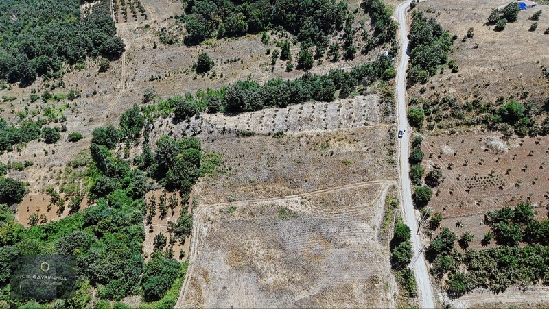 Yıldırım Köyünde 1458 M2 Bahçeler — fotoğraf 14