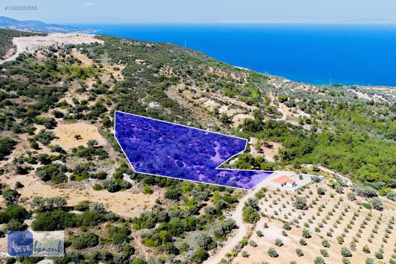 Mavi Boncuk'tan Mordoğanda Deniz Manzaralı Tarla — fotoğraf 2