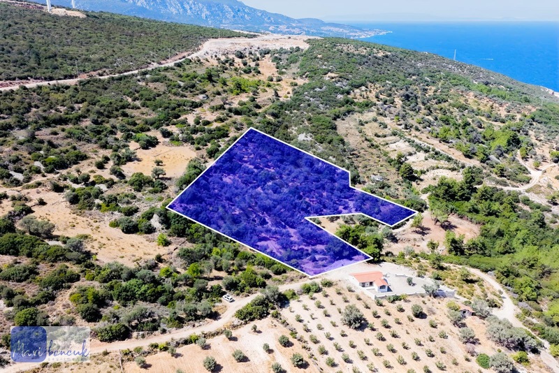 Mavi Boncuk'tan Mordoğanda Deniz Manzaralı Tarla — fotoğraf 3