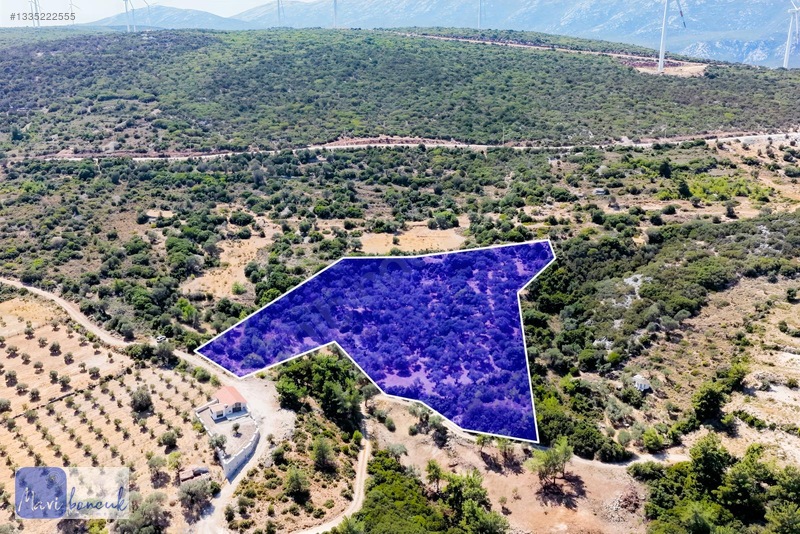 Mavi Boncuk'tan Mordoğanda Deniz Manzaralı Tarla — fotoğraf 4