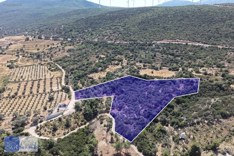 Mavi Boncuk'tan Mordoğanda Deniz Manzaralı Tarla — fotoğraf 5