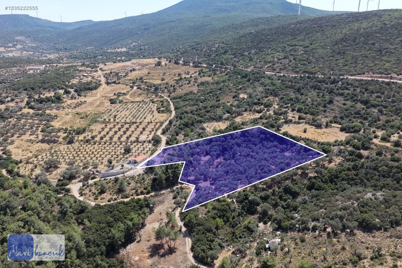 Mavi Boncuk'tan Mordoğanda Deniz Manzaralı Tarla — fotoğraf 6