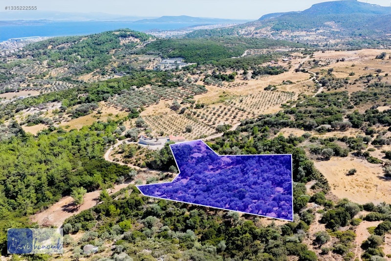 Mavi Boncuk'tan Mordoğanda Deniz Manzaralı Tarla — fotoğraf 8