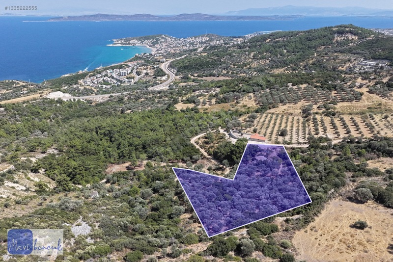 Mavi Boncuk'tan Mordoğanda Deniz Manzaralı Tarla — fotoğraf 10