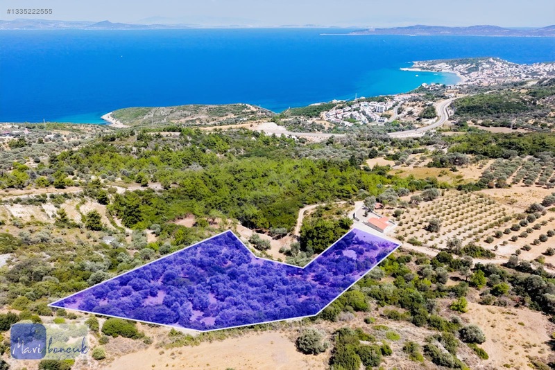 Mavi Boncuk'tan Mordoğanda Deniz Manzaralı Tarla — fotoğraf 12
