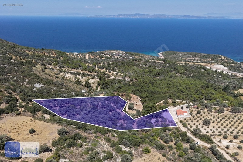 Mavi Boncuk'tan Mordoğanda Deniz Manzaralı Tarla — fotoğraf 14