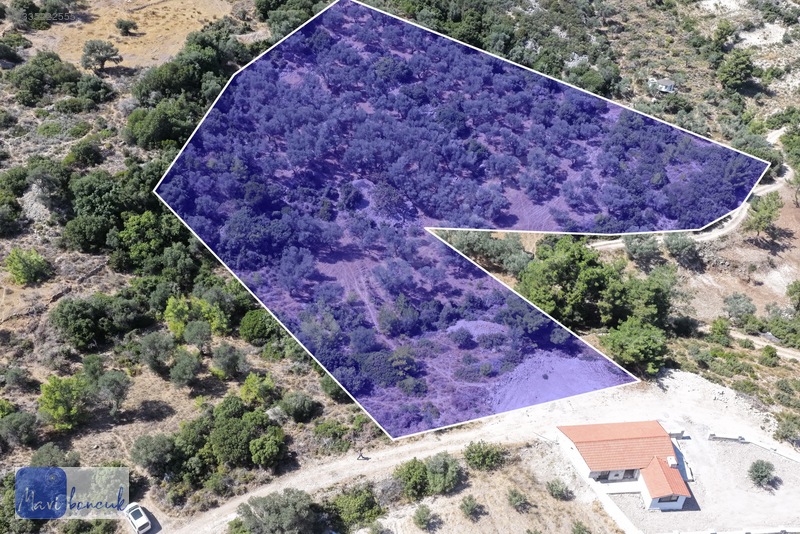 Mavi Boncuk'tan Mordoğanda Deniz Manzaralı Tarla — fotoğraf 16