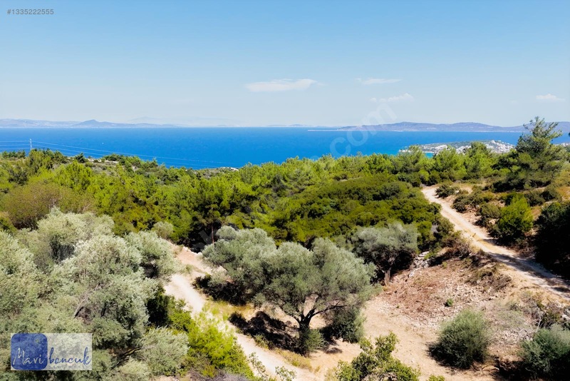 Mavi Boncuk'tan Mordoğanda Deniz Manzaralı Tarla — fotoğraf 26
