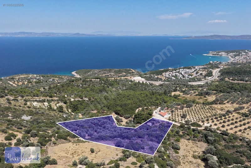 Mavi Boncuk'tan Mordoğanda Deniz Manzaralı Tarla — fotoğraf 31