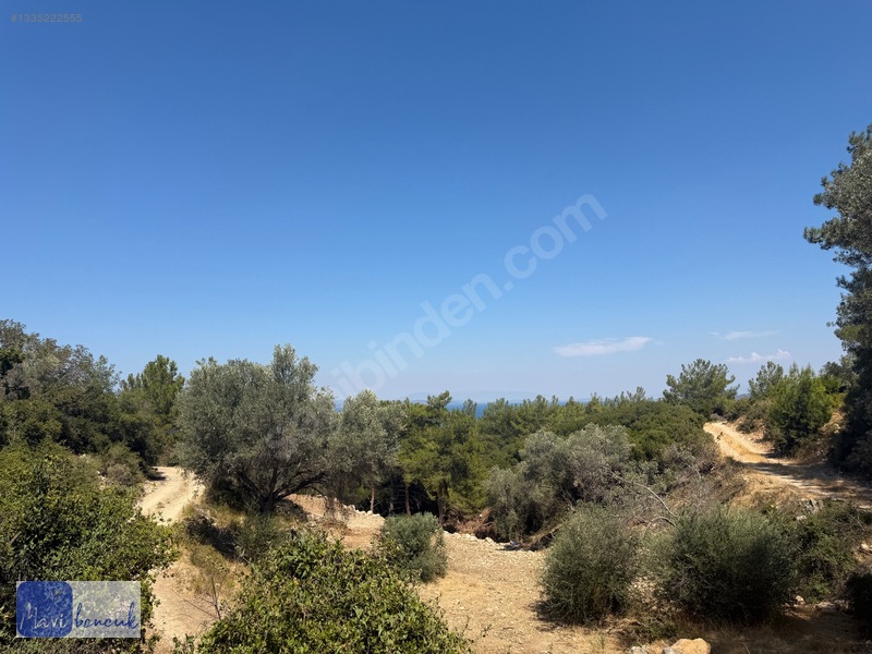 Mavi Boncuk'tan Mordoğanda Deniz Manzaralı Tarla — fotoğraf 33