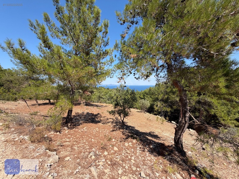 Mavi Boncuk'tan Mordoğanda Deniz Manzaralı Tarla — fotoğraf 36