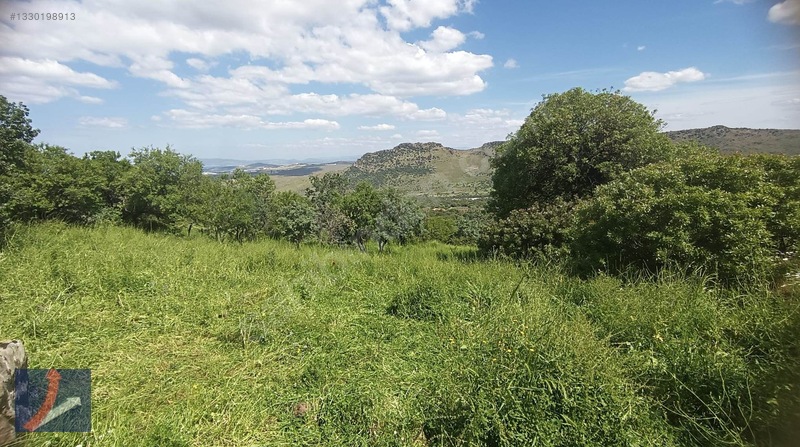 Aliağa Karakuzu Köyünde Satılık Tek Tapu 4 Dönüm Tarla — fotoğraf 3