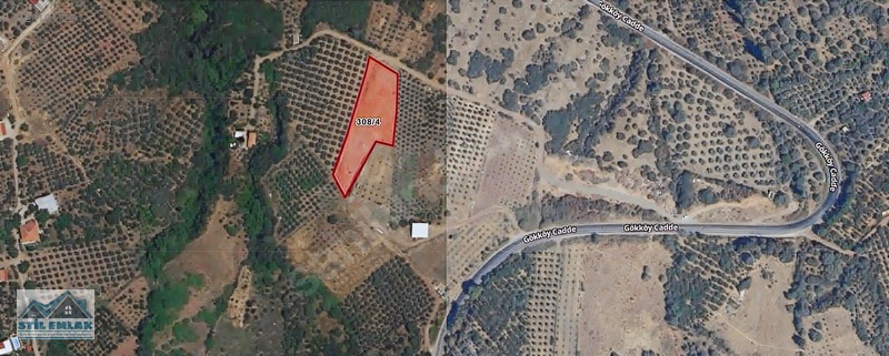 Salihli Gökköy Satılık 2635 M2 Arazi — fotoğraf 12