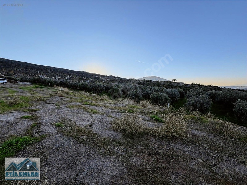 Salihli Gökköy Satılık 2635 M2 Arazi — fotoğraf 28