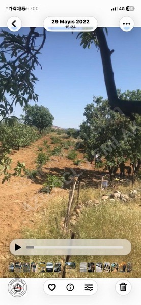 Azizoğlu Emlak'tan Satılık Bağ — fotoğraf 10