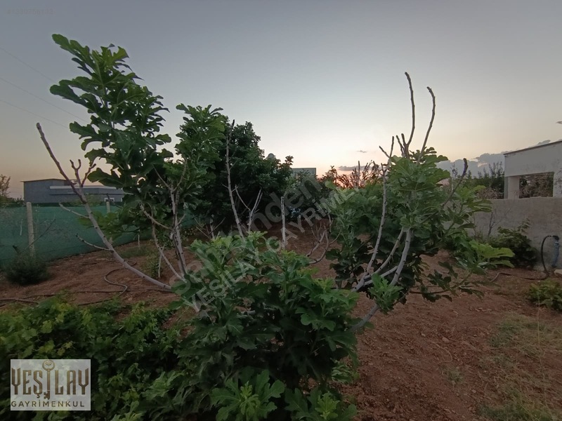 Hamurkesen'de Satılık Mustakil Tapulu Bağ Evi — fotoğraf 14