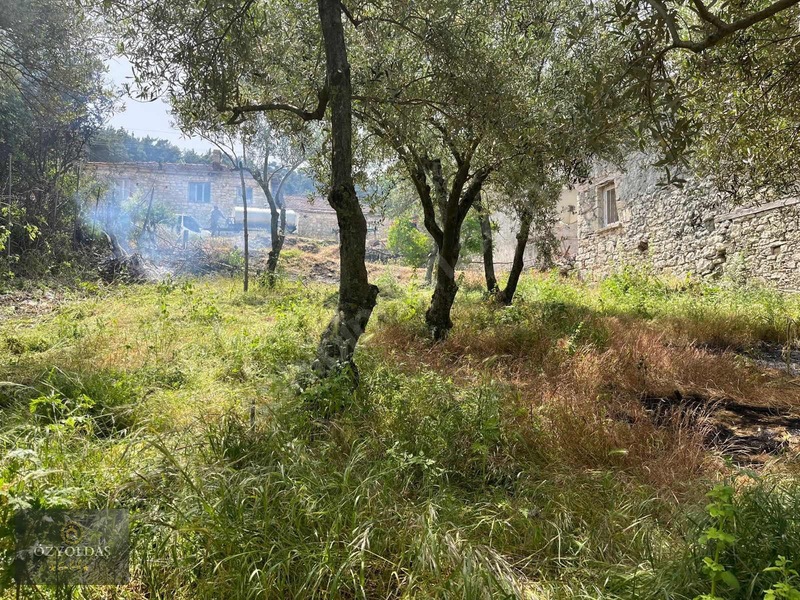 Büyükışıklar Köyünde İmarlı Arsa — fotoğraf 3