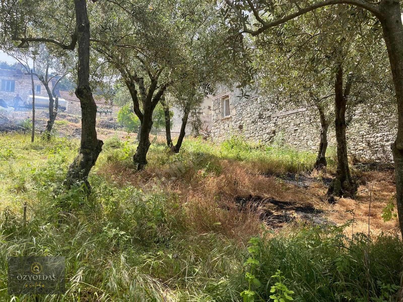 Büyükışıklar Köyünde İmarlı Arsa — fotoğraf 4