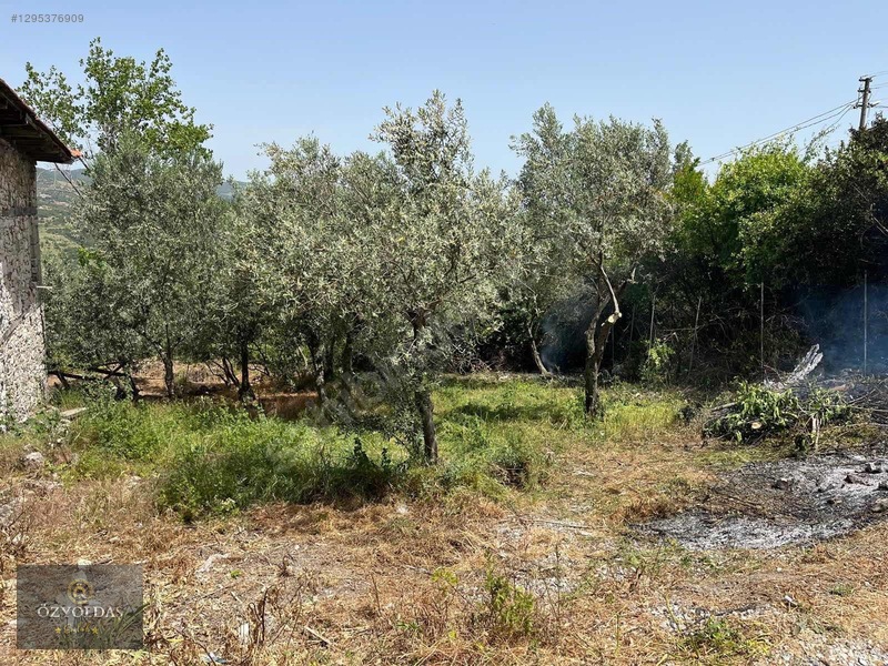 Büyükışıklar Köyünde İmarlı Arsa — fotoğraf 5