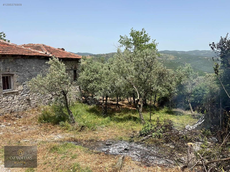 Büyükışıklar Köyünde İmarlı Arsa — fotoğraf 6