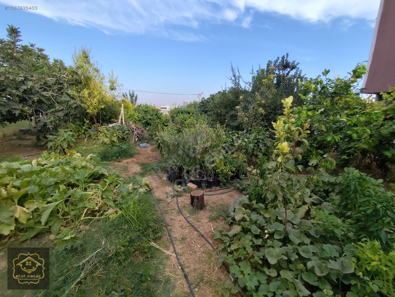 Acar Emlaktan Bahçebaşı Mah. 430 M2 Arsa İçinde 2+1 Müstakil Ev — fotoğraf 24