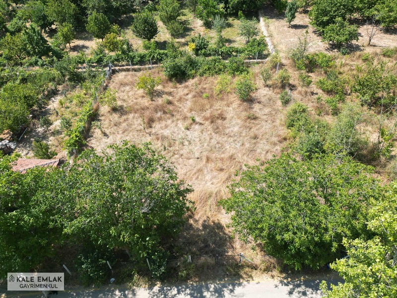 Kale Emlak'tan Yavru Köyünde Hisseli 1.000 M² Satılık Bağ