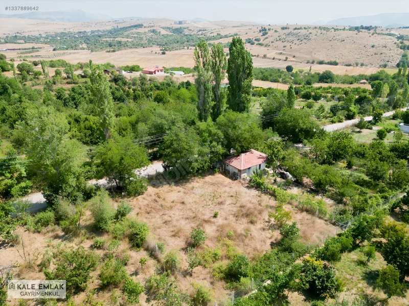 Kale Emlak'tan Yavru Köyünde Hisseli 1.000 M² Satılık Bağ — fotoğraf 4