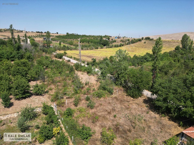 Kale Emlak'tan Yavru Köyünde Hisseli 1.000 M² Satılık Bağ — fotoğraf 6