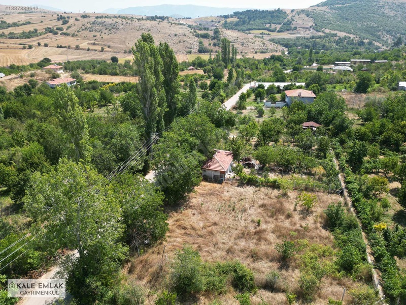 Kale Emlak'tan Yavru Köyünde Hisseli 1.000 M² Satılık Bağ — fotoğraf 7