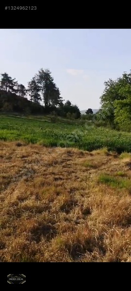 Bursa Yenisehir Toprakderede Yapı Yapılmaya Uygun Satılık Arazi
