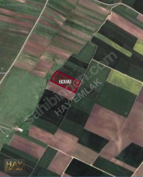 Hay Emlaktan Doğrucada Resmi Yola Cephe 22.893 M2 Satılık Tarla — fotoğraf 2