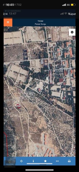 Kırkağaç Sarıağa Satılık Zeytinlik — fotoğraf 2