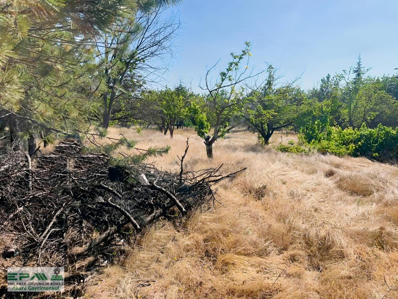 Karaoğlanda Yeşillikler İçinde Ev&geniş Bahçeli 2.500 M² Hisse — fotoğraf 7