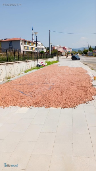 Bu Emlaktan Satılık Fındıklık — fotoğraf 4