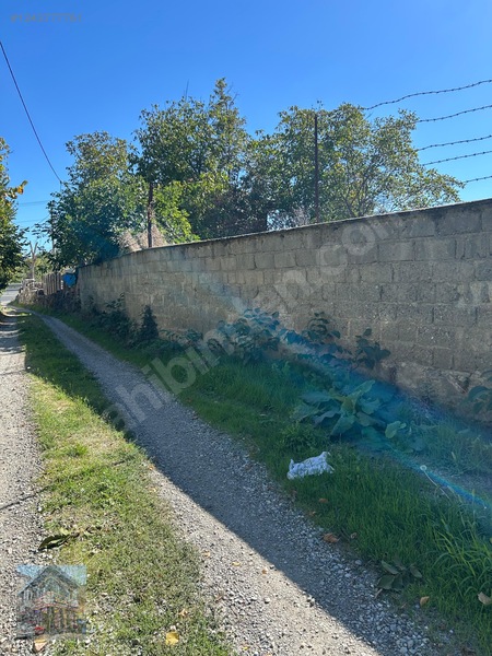 Eseroğlu Emlak'tan Anayola Yakın Satılık Bağ-bahçe — fotoğraf 20