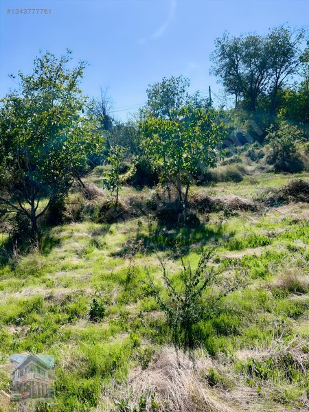 Eseroğlu Emlak'tan Anayola Yakın Satılık Bağ-bahçe — fotoğraf 22