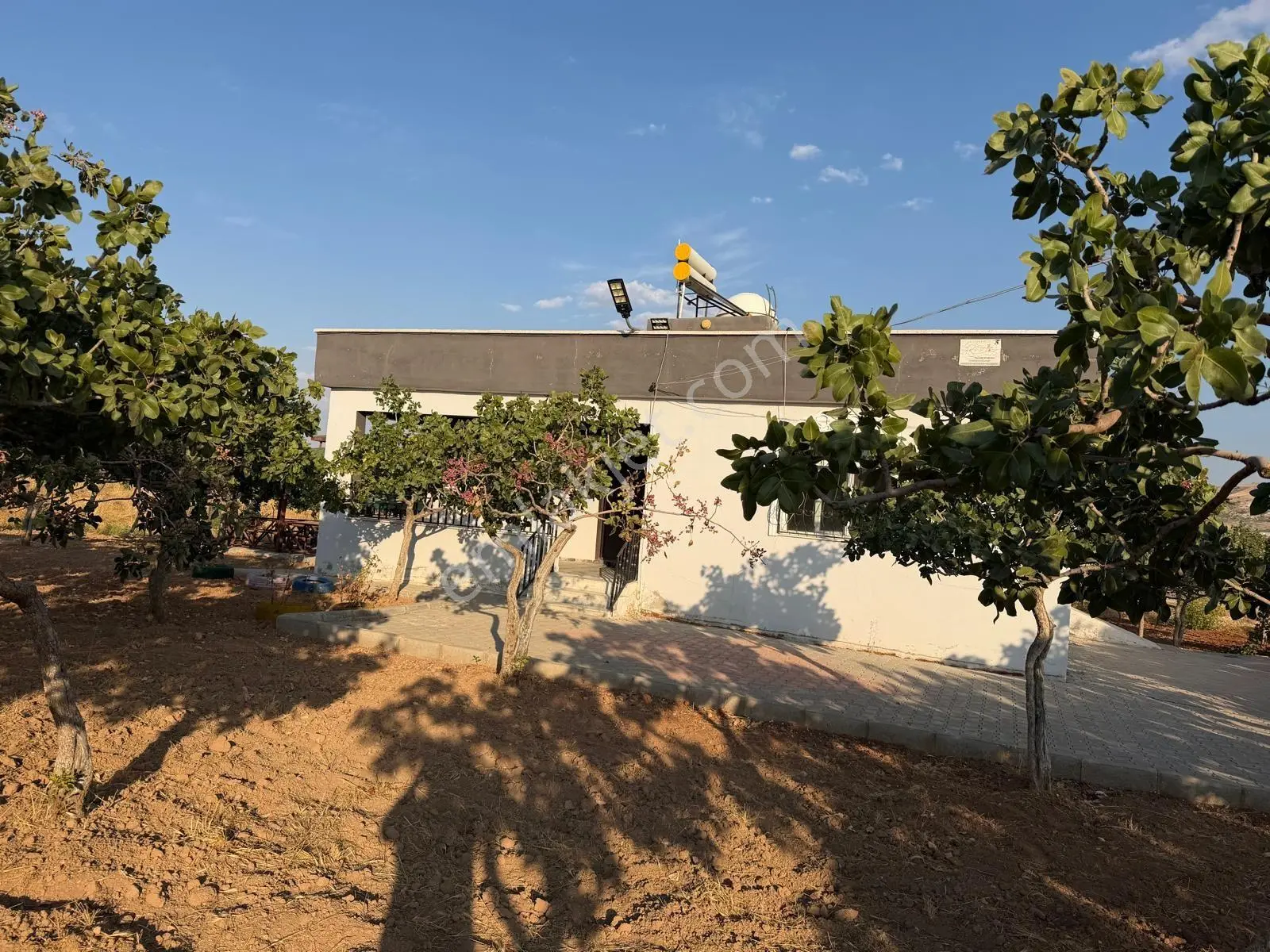 Karaköprüye 8. Km Uzaklıkta 2.246 M² Bağımsız Tek Tapulu Yatırımlık Fıstıklık — fotoğraf 2