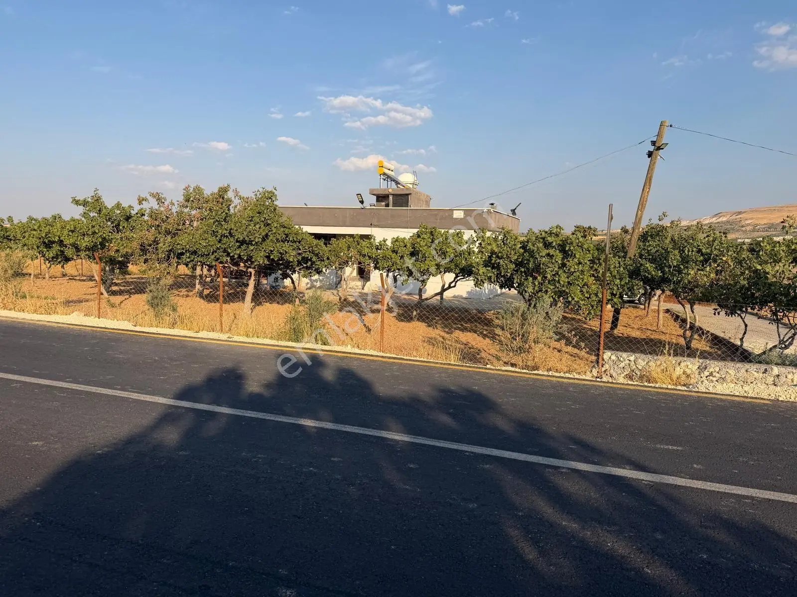 Karaköprüye 8. Km Uzaklıkta 2.246 M² Bağımsız Tek Tapulu Yatırımlık Fıstıklık — fotoğraf 4