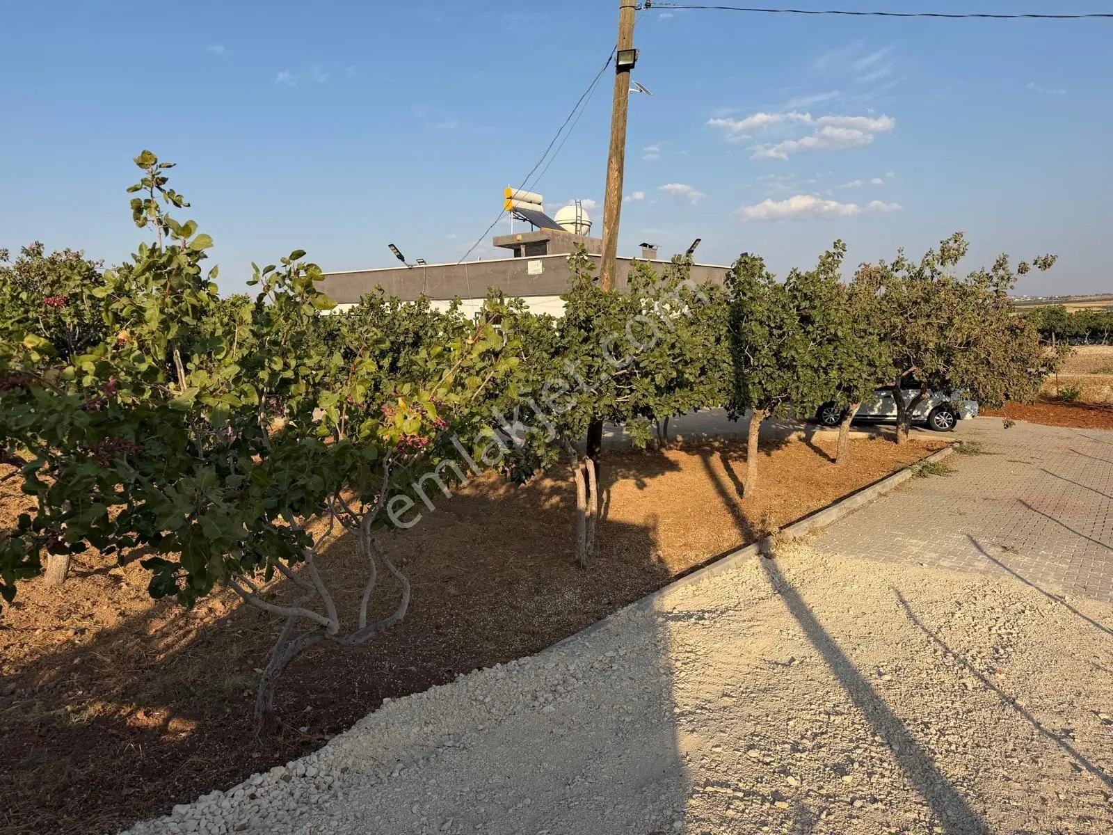 Karaköprüye 8. Km Uzaklıkta 2.246 M² Bağımsız Tek Tapulu Yatırımlık Fıstıklık — fotoğraf 6