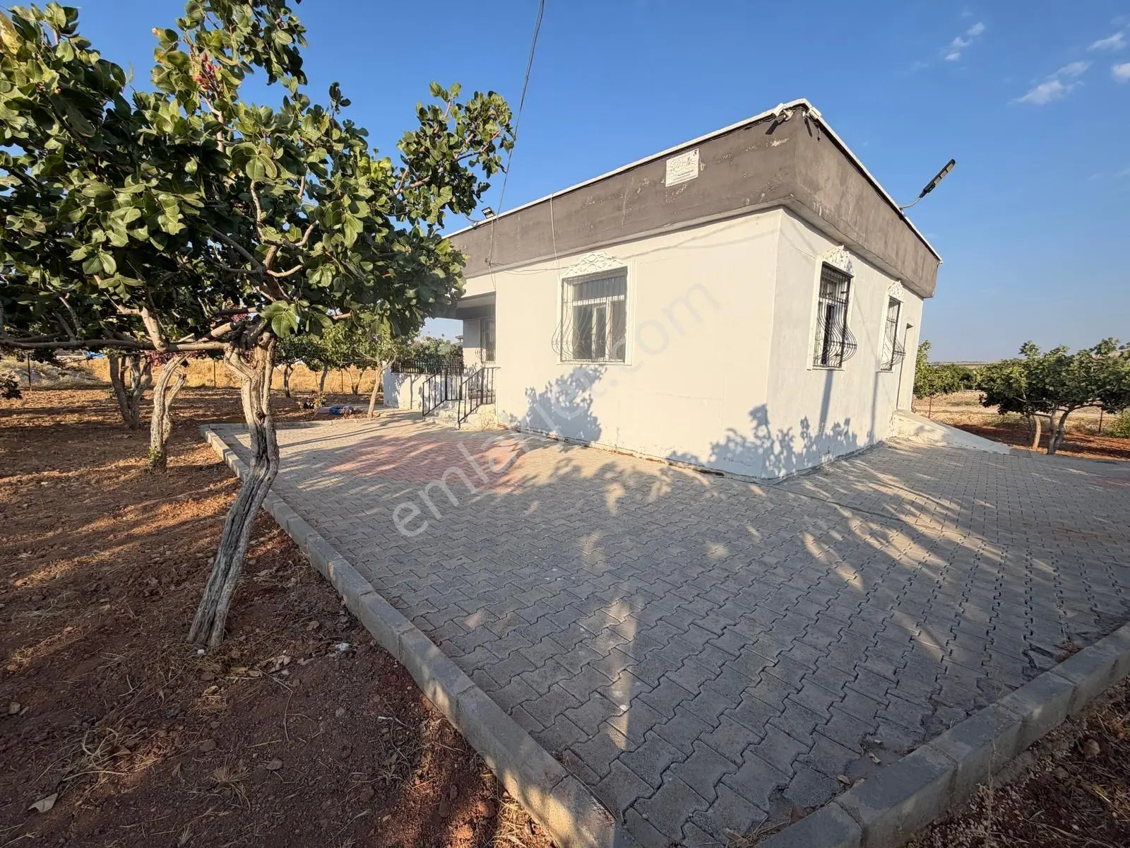 Karaköprüye 8. Km Uzaklıkta 2.246 M² Bağımsız Tek Tapulu Yatırımlık Fıstıklık — fotoğraf 8
