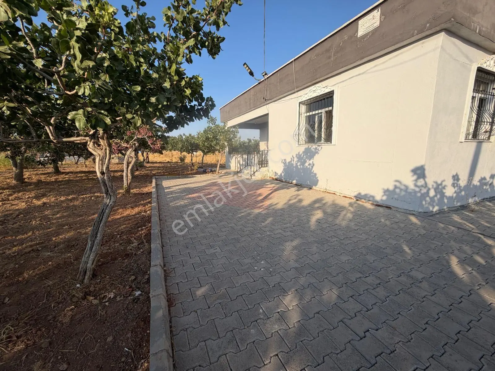 Karaköprüye 8. Km Uzaklıkta 2.246 M² Bağımsız Tek Tapulu Yatırımlık Fıstıklık — fotoğraf 9